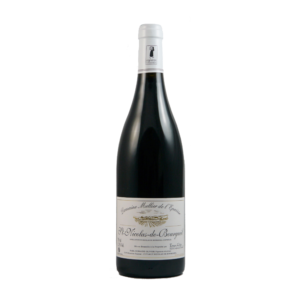 Saint-nicolas-de-bourgueil 2022 - Domaine Mellier de l’Epaisse