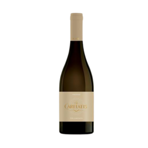 Vox blanc - Via Caritatis